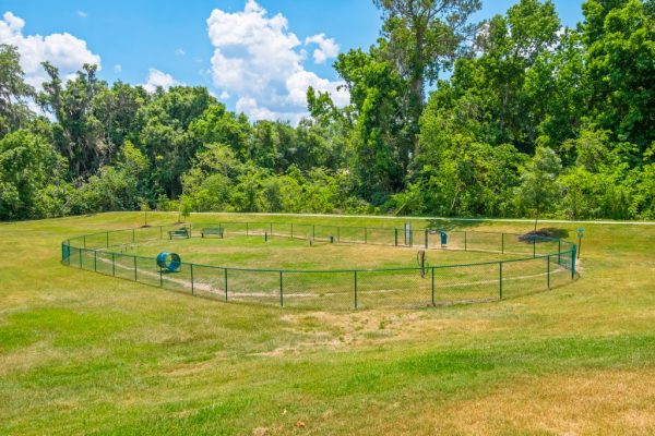 Outdoor, grassy leash-free bark park with agility equipment and surrounding fence